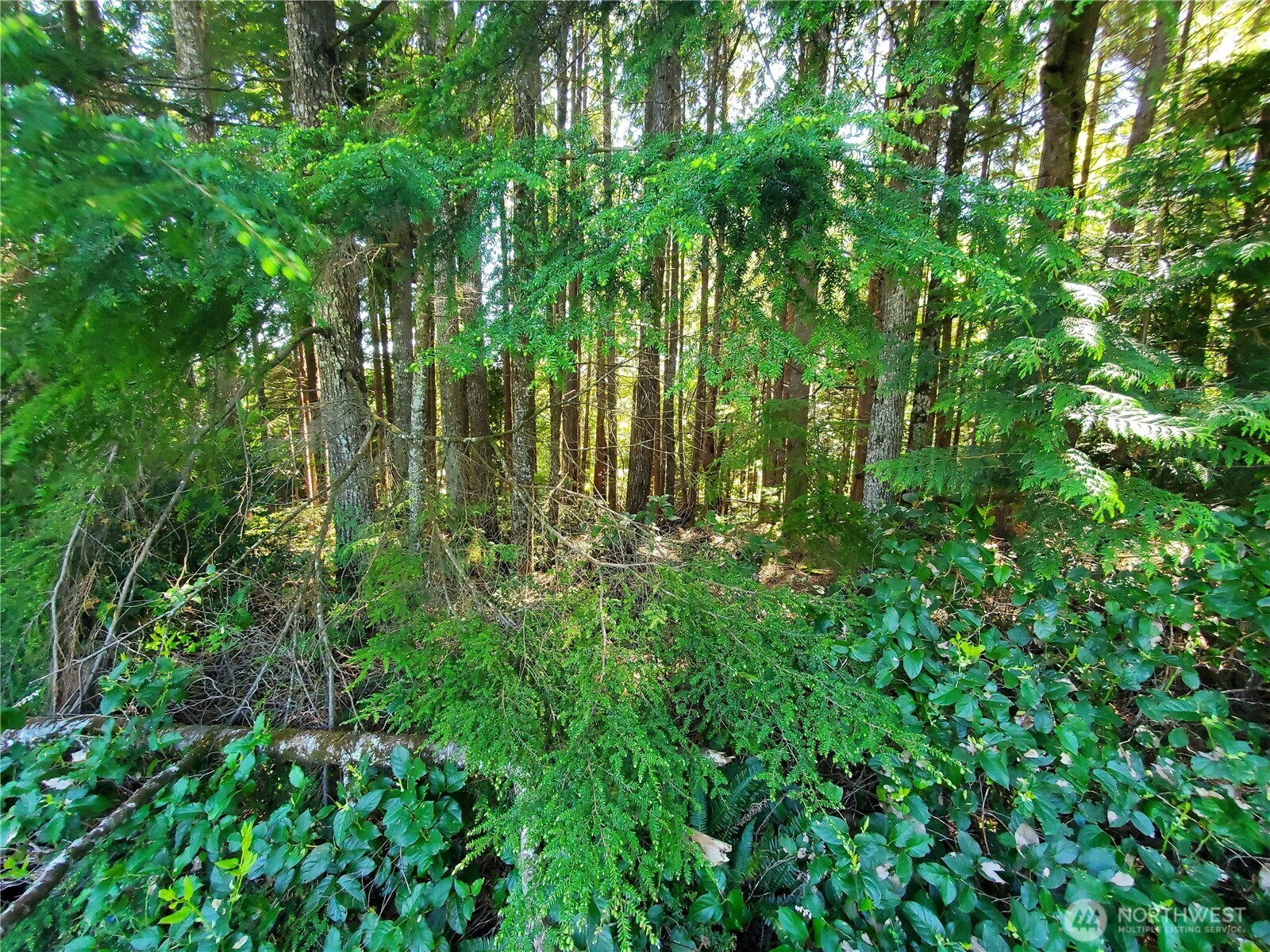 0 Bayview Lane Hoquiam WA 98550