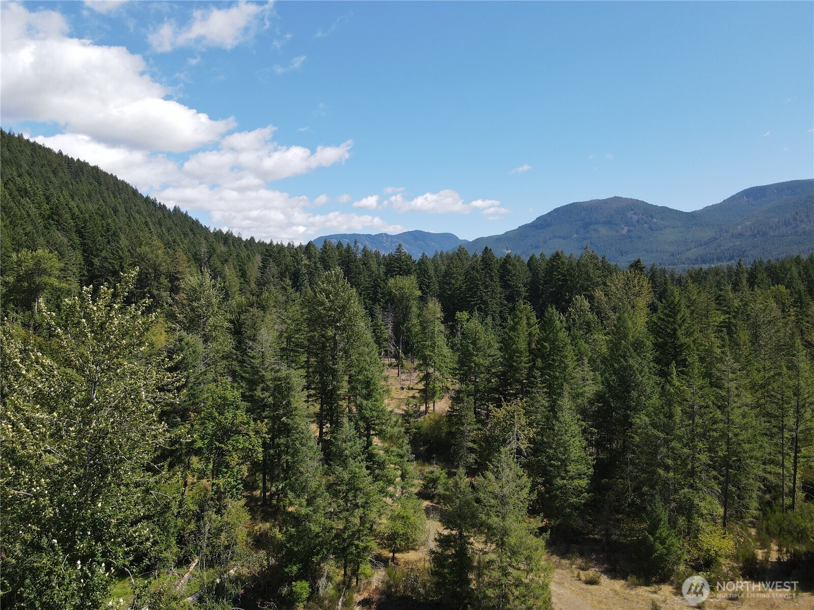 0 Cannon Road White Pass WA 98937