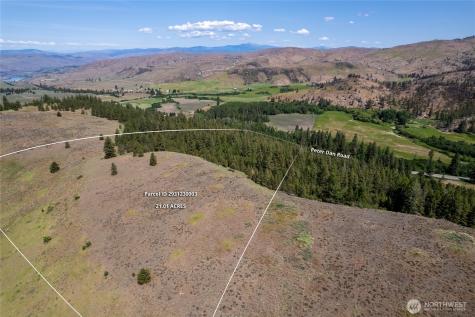 0 Peter Dan Road Coulee Dam WA 99116