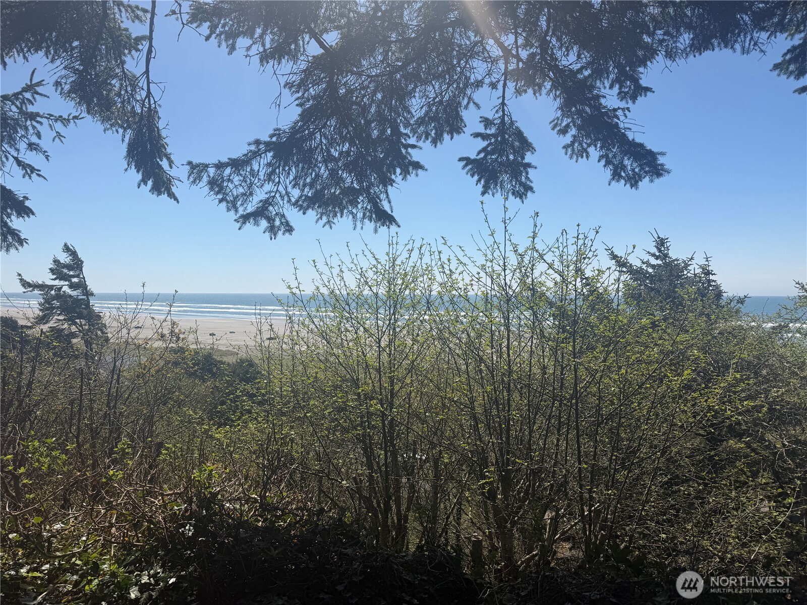 46871 State Route 109 Moclips WA 98562