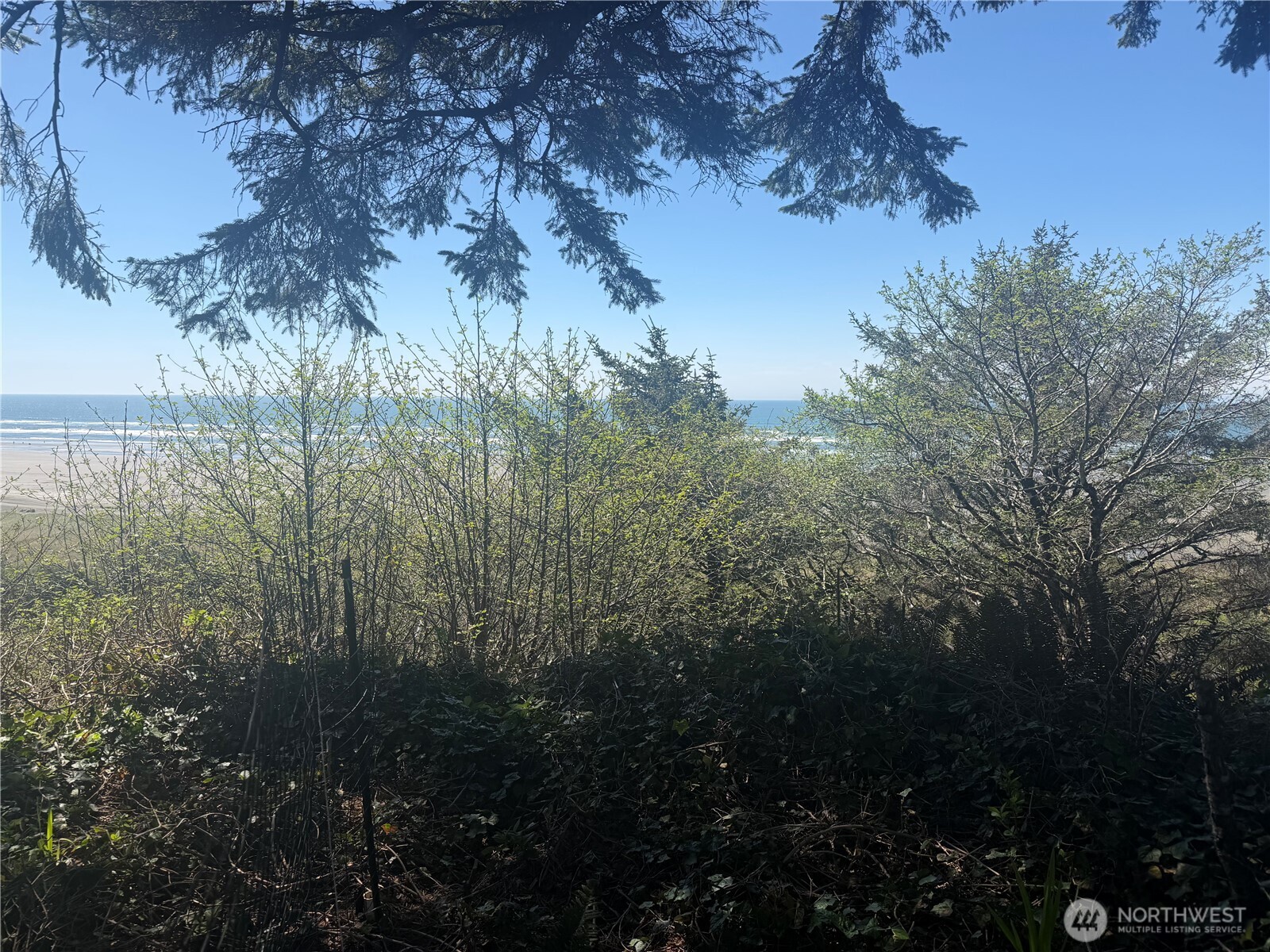 46871 State Route 109 Moclips WA 98562