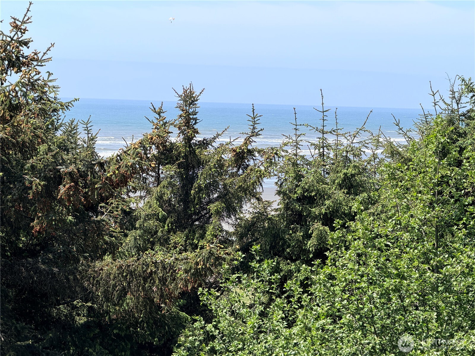 46871 State Route 109 Moclips WA 98562