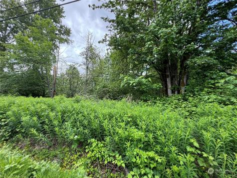 1410 169th Place SW Lynnwood WA 98037