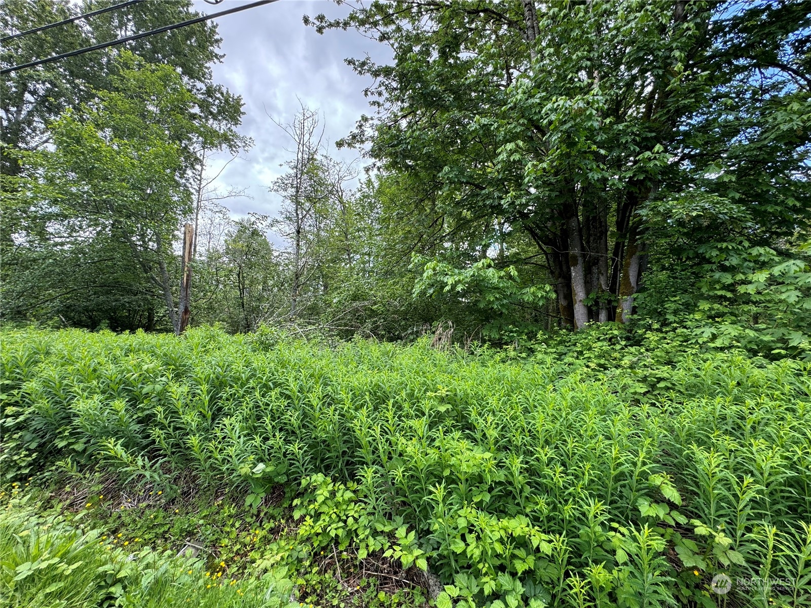 1410 169th Place SW Lynnwood WA 98037