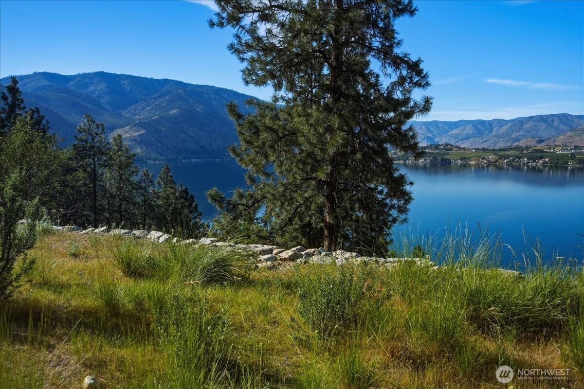 7365 Ridgeview Drive Chelan WA 98816