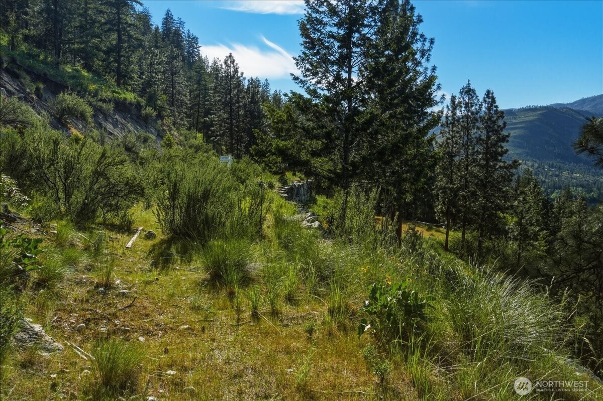 7365 Ridgeview Drive Chelan WA 98816