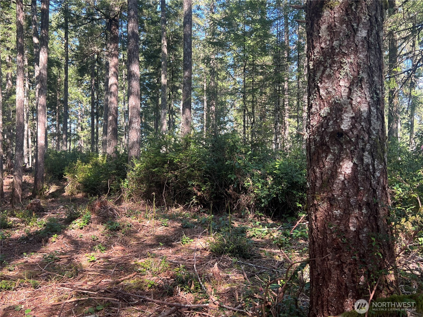 380 E Laurel Park Union WA 98592