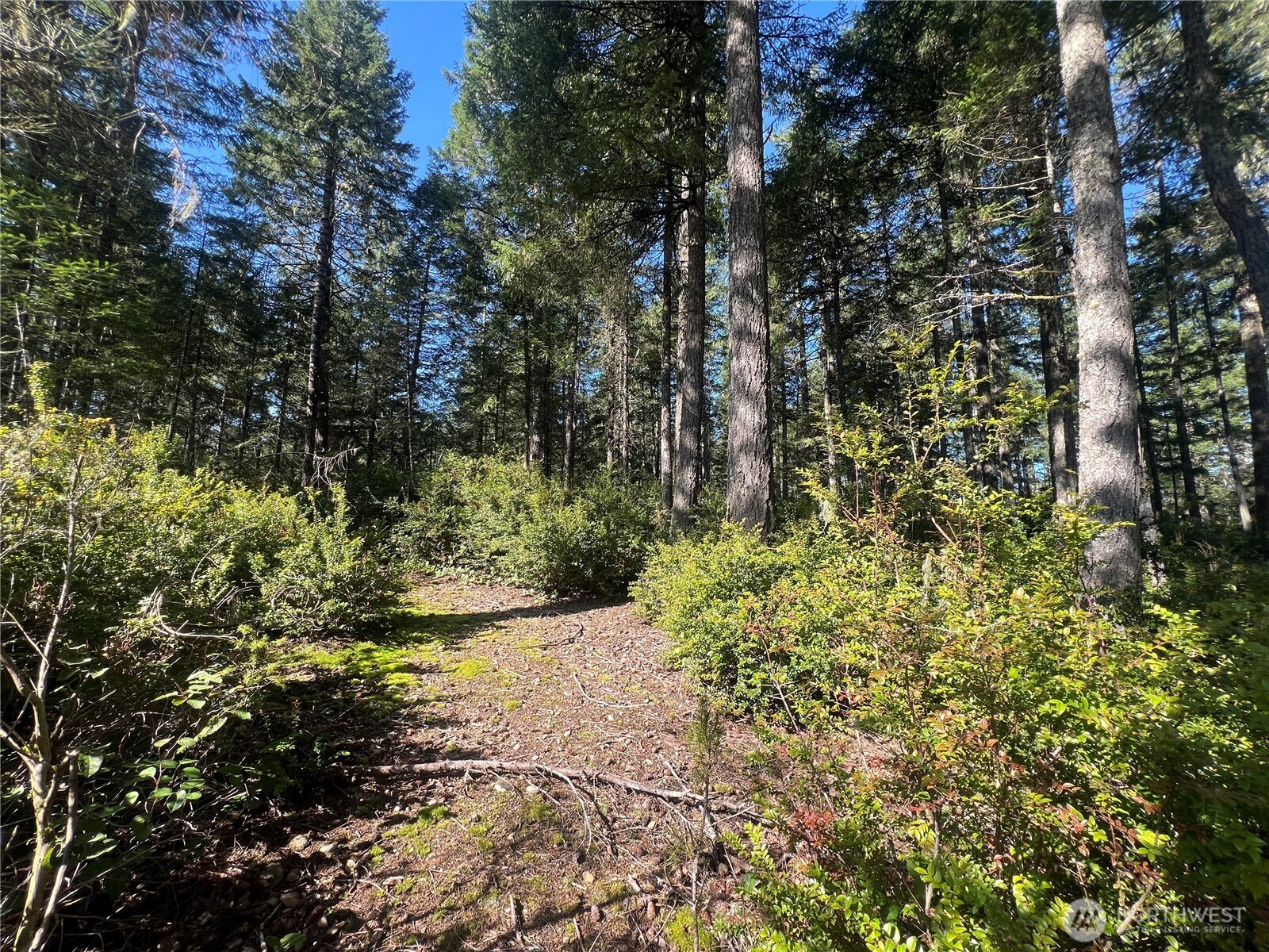 380 E Laurel Park Union WA 98592