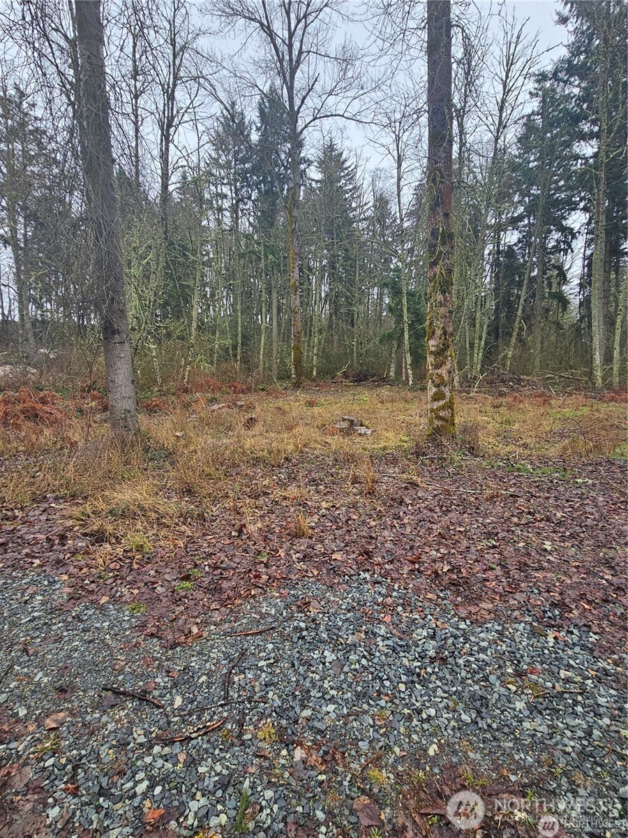 25905 96th Avenue E Graham WA 98338