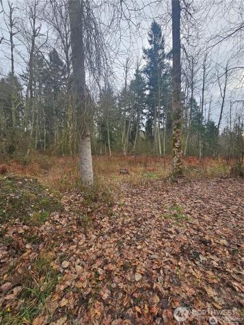 25905 96th Avenue E Graham WA 98338