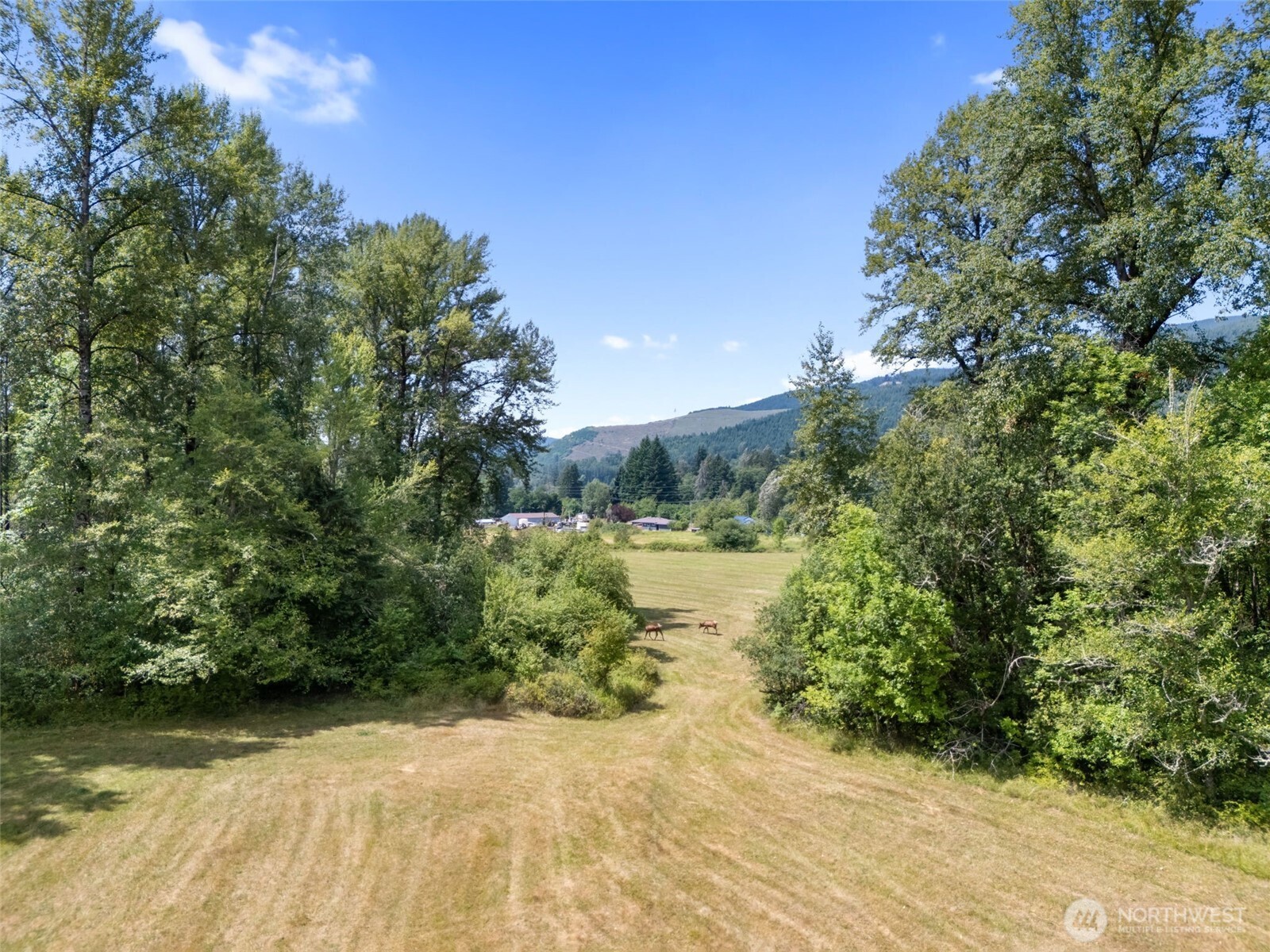 0 Us Highway 12 Glenoma WA 98336