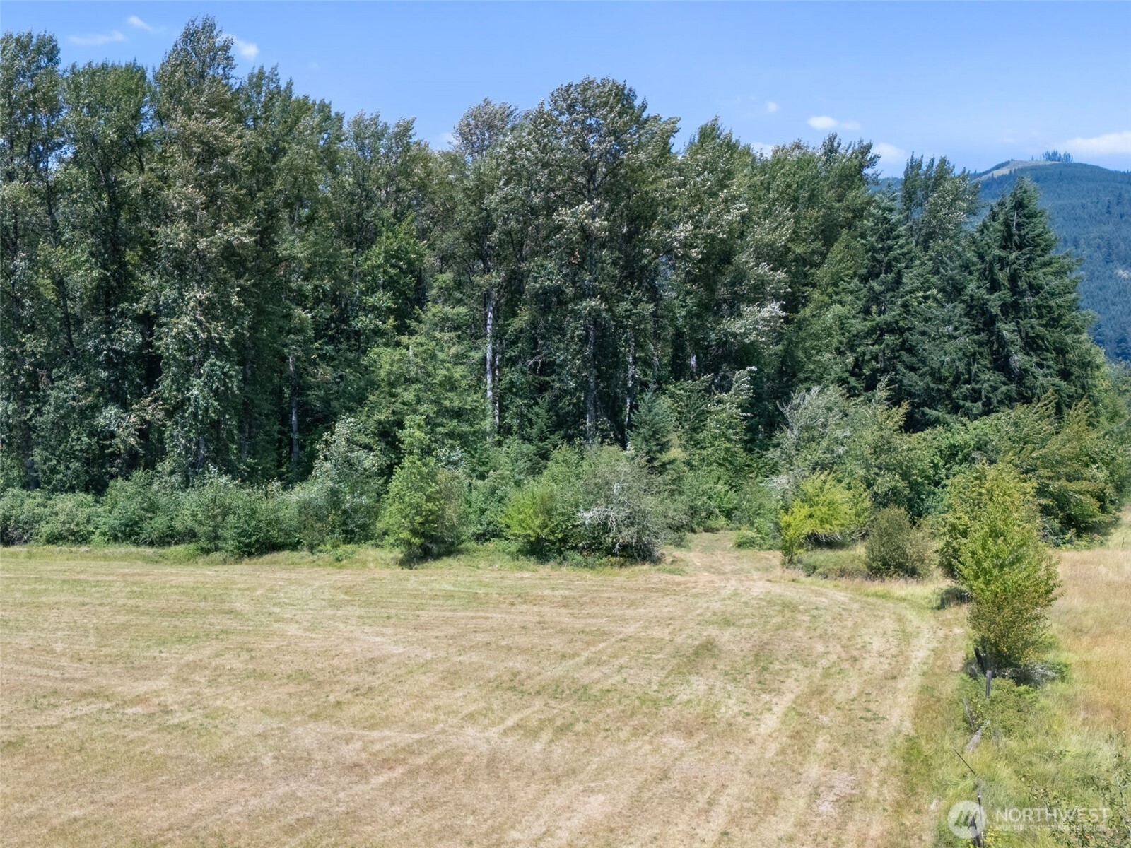 0 Us Highway 12 Glenoma WA 98336
