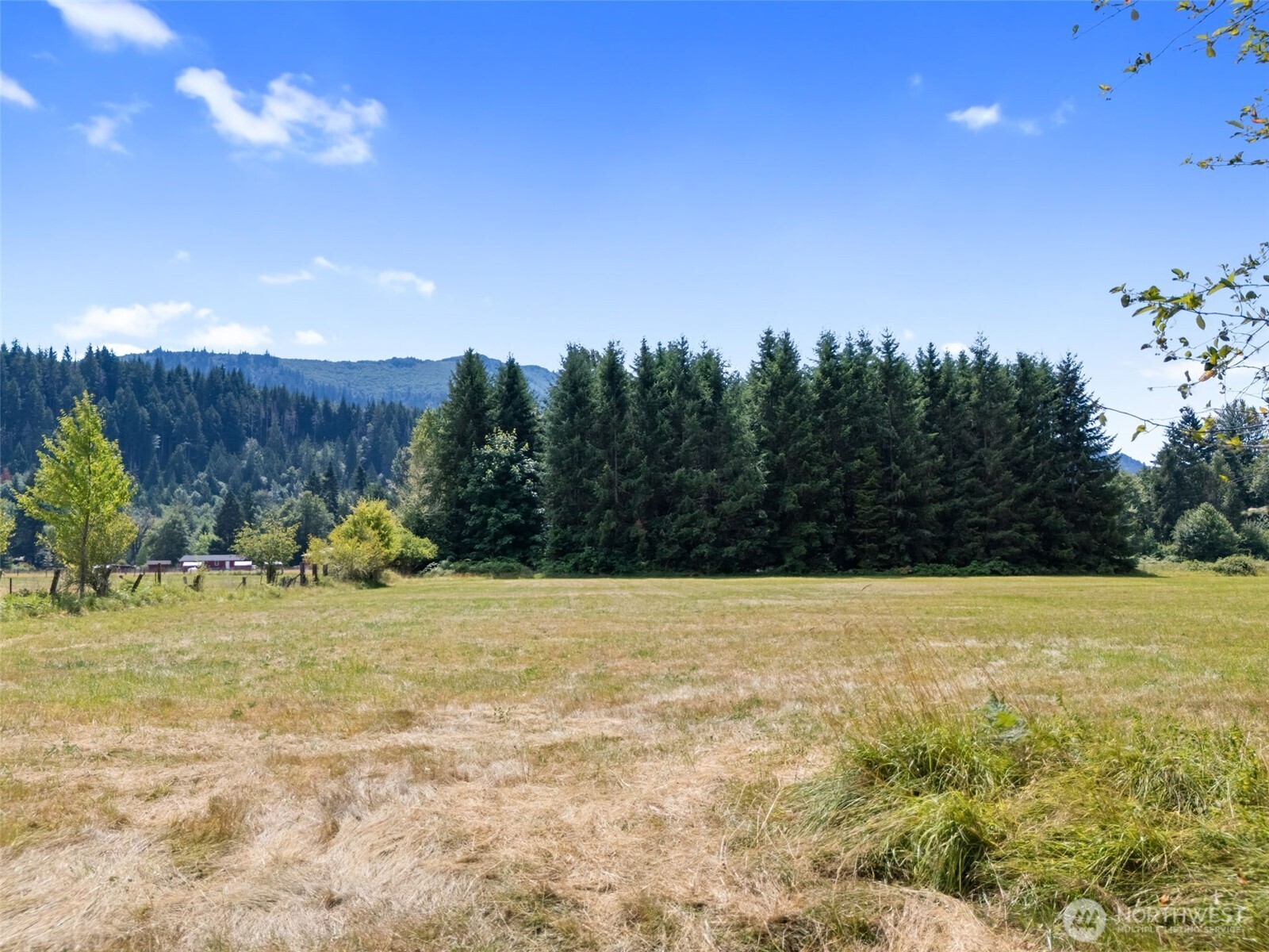 0 Us Highway 12 Glenoma WA 98336