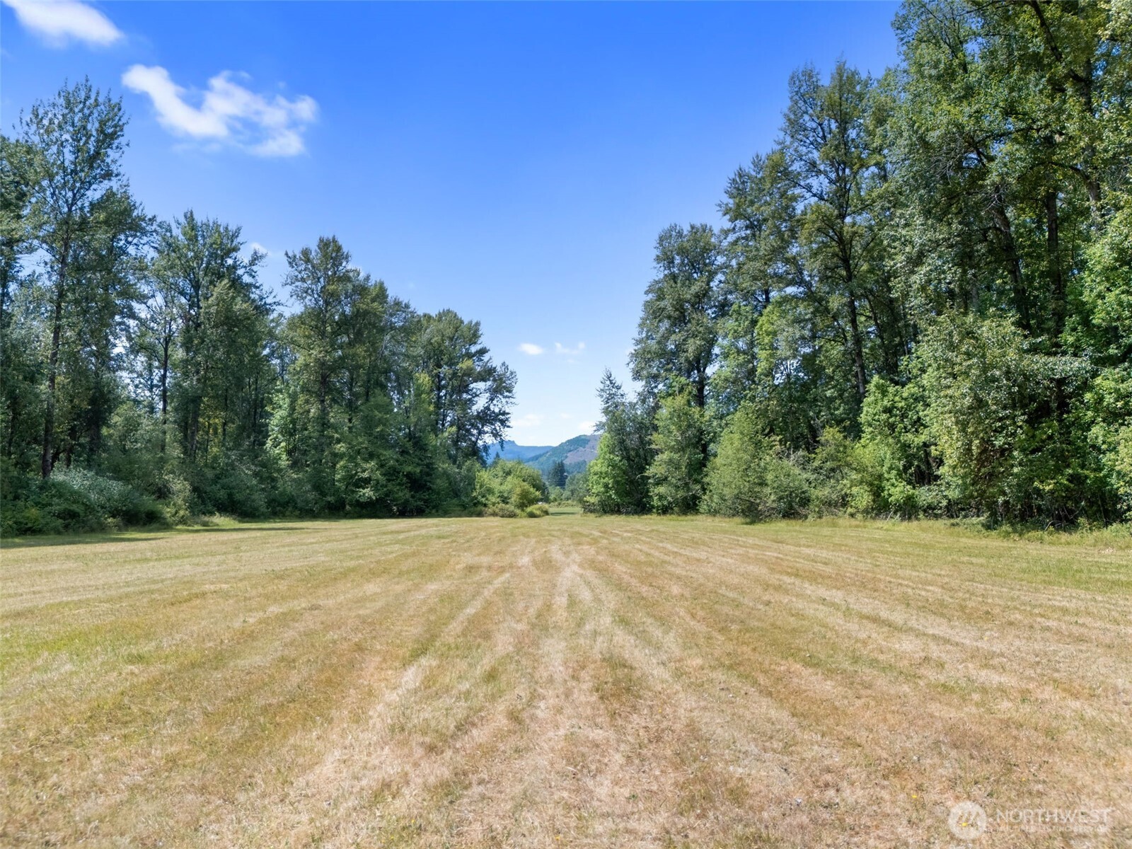 0 Us Highway 12 Glenoma WA 98336