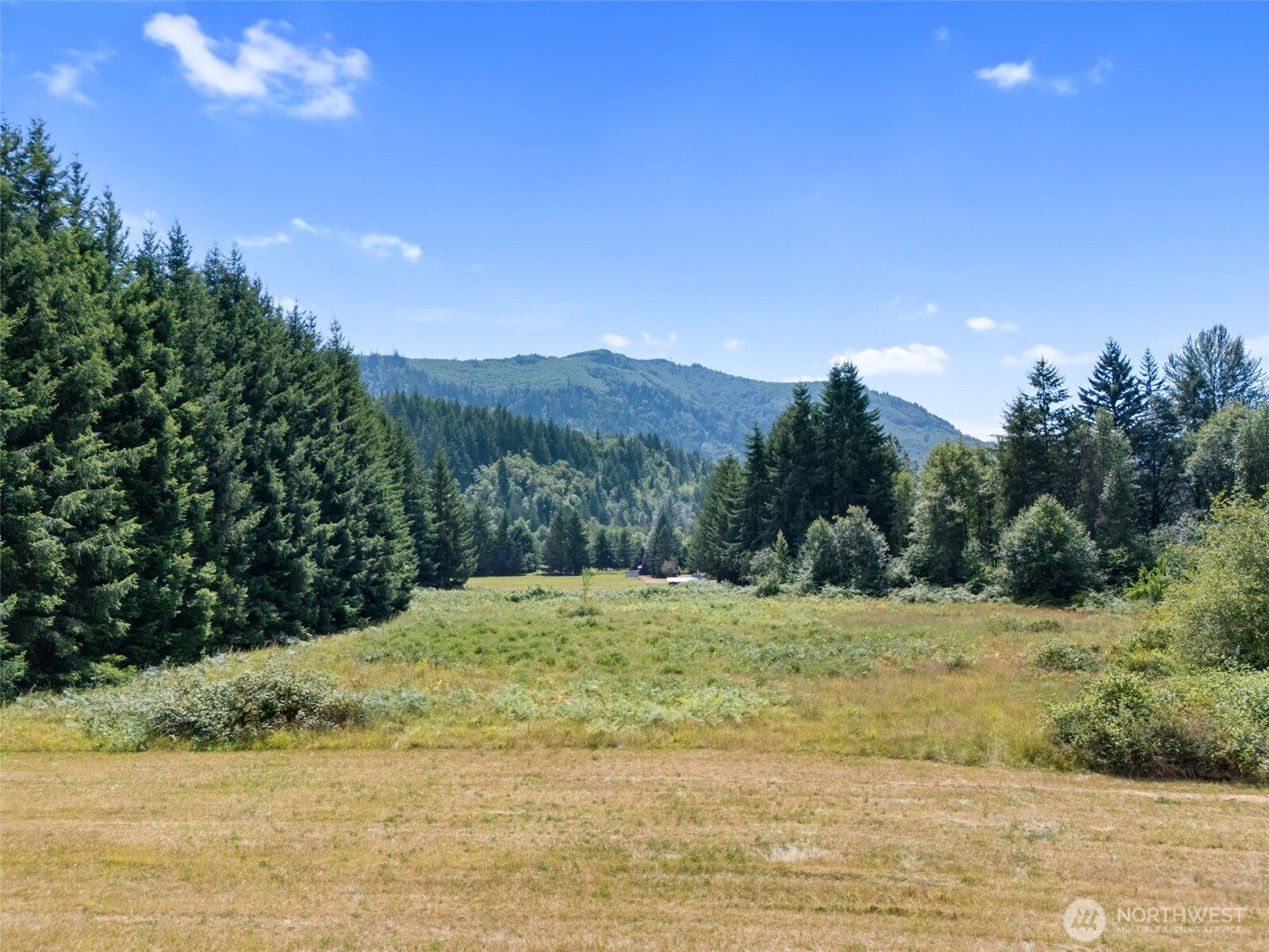 0 Us Highway 12 Glenoma WA 98336
