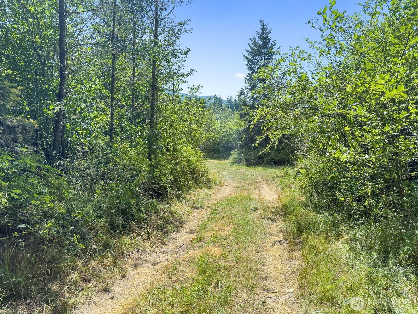 0 Us Highway 12 Glenoma WA 98336