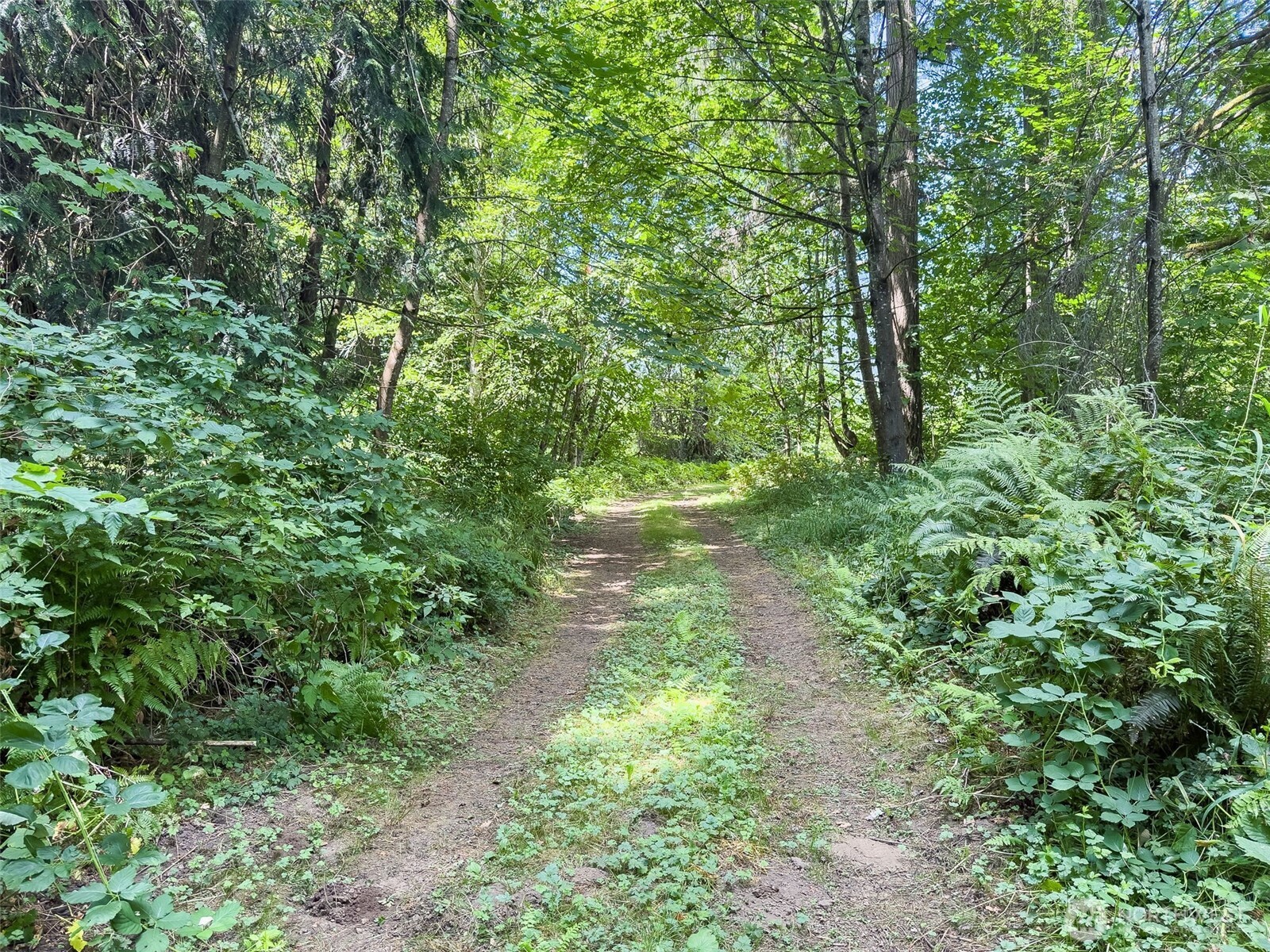0 Us Highway 12 Glenoma WA 98336