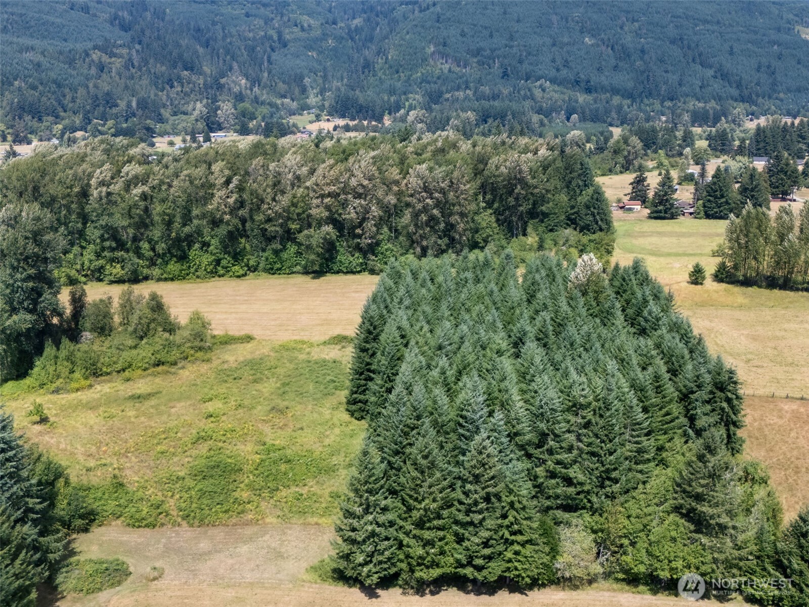 0 Us Highway 12 Glenoma WA 98336