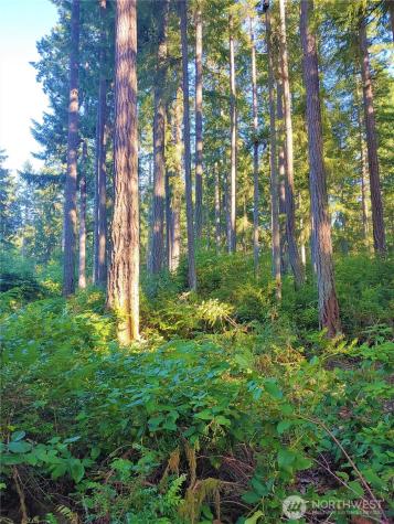 11302 106th Street Anderson Island WA 98303