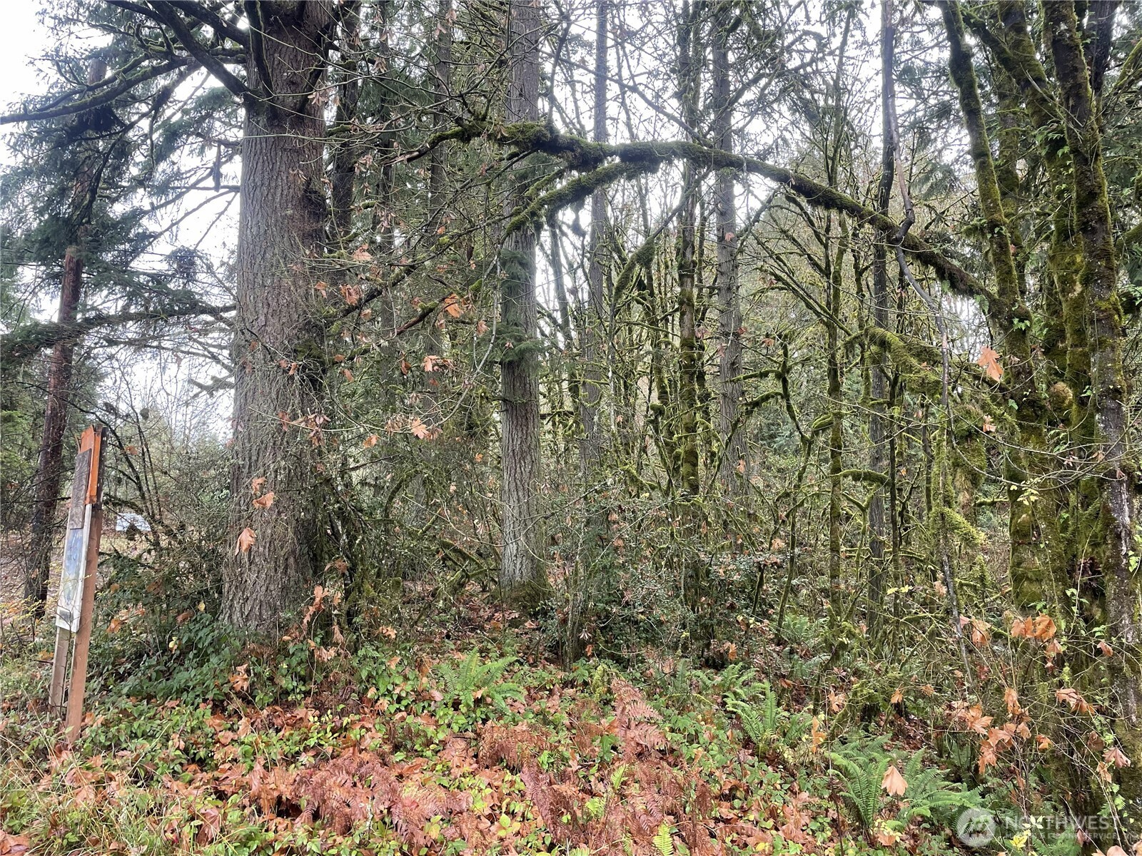 0 Wa 505 Toledo WA 98591