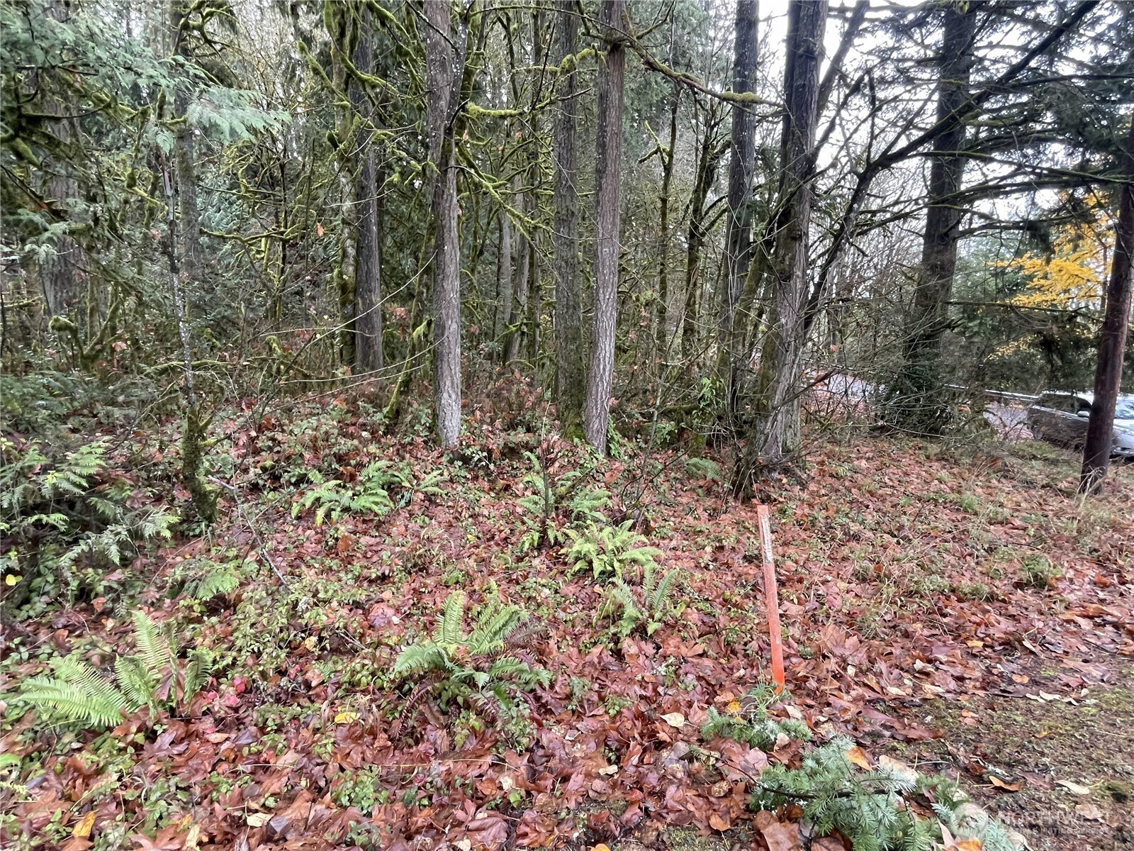0 Wa 505 Toledo WA 98591