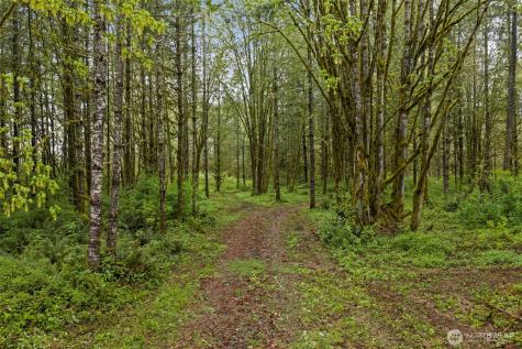 0 Xxx Highway 12 (Lot 1) Ethel WA 98542