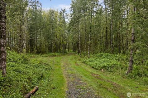 0 Xxx Highway 12 (Lot 1) Ethel WA 98542