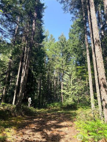30 Skokomish Hoodsport WA 98548