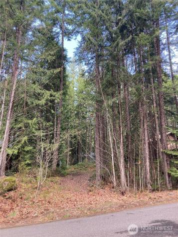 30 Skokomish Hoodsport WA 98548