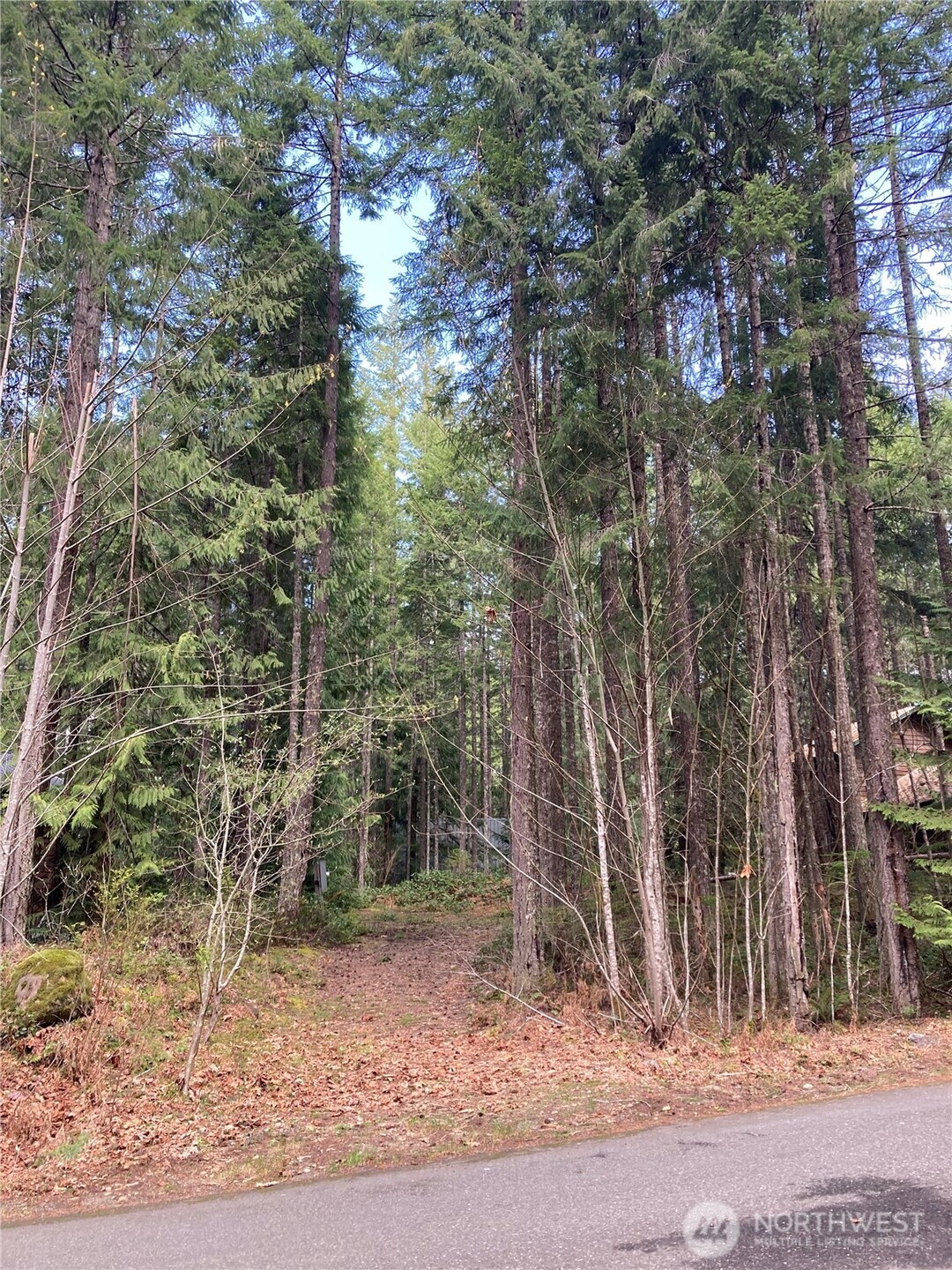 30 N Skokomish Drive Hoodsport WA 98548