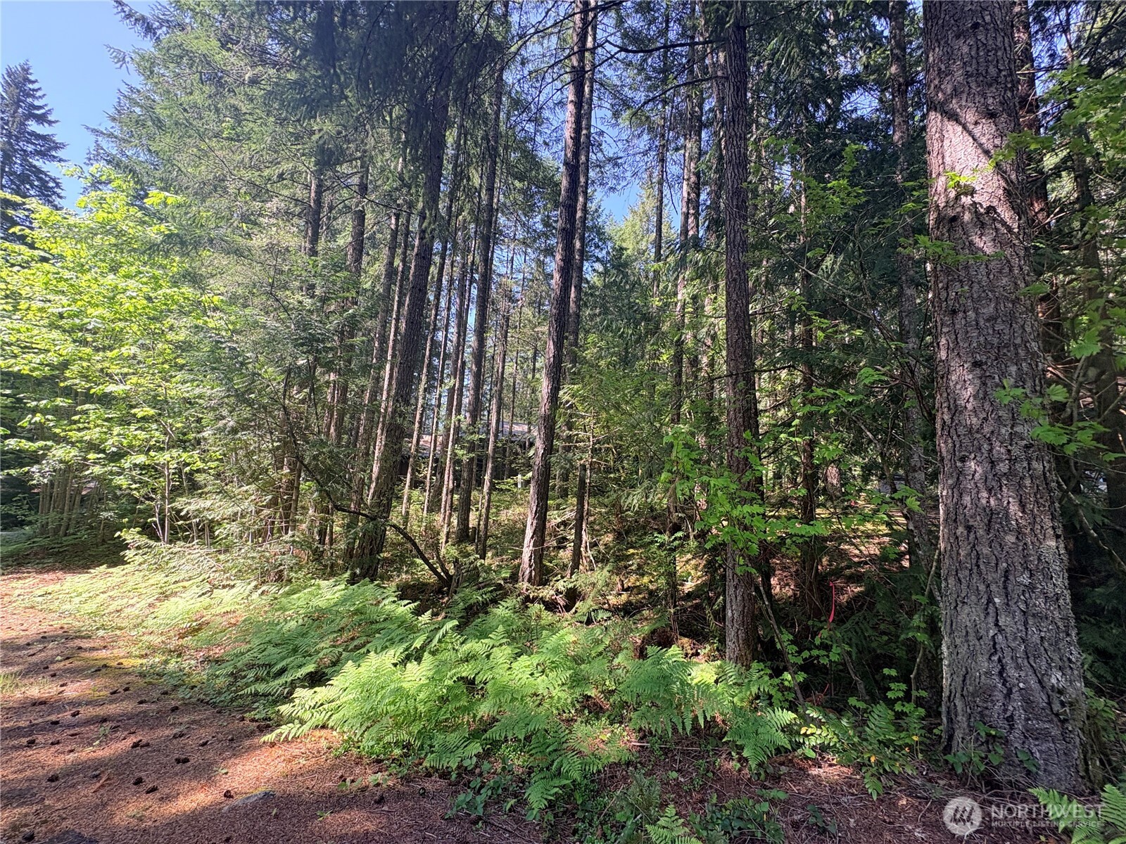 30 N Skokomish Drive Hoodsport WA 98548