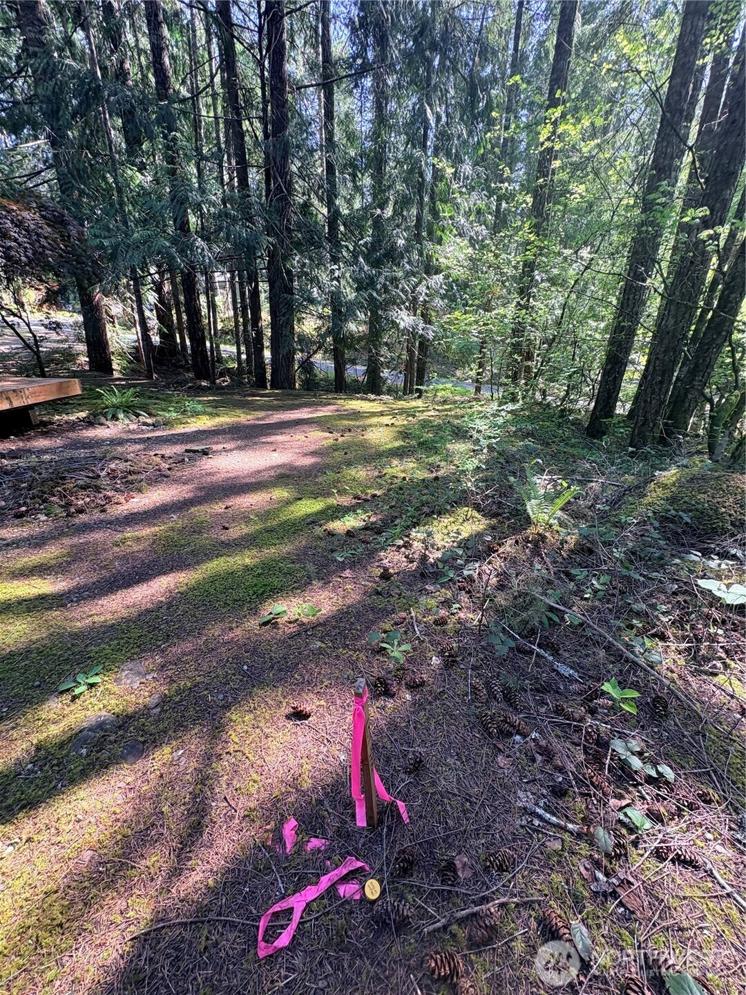 30 N Skokomish Drive Hoodsport WA 98548