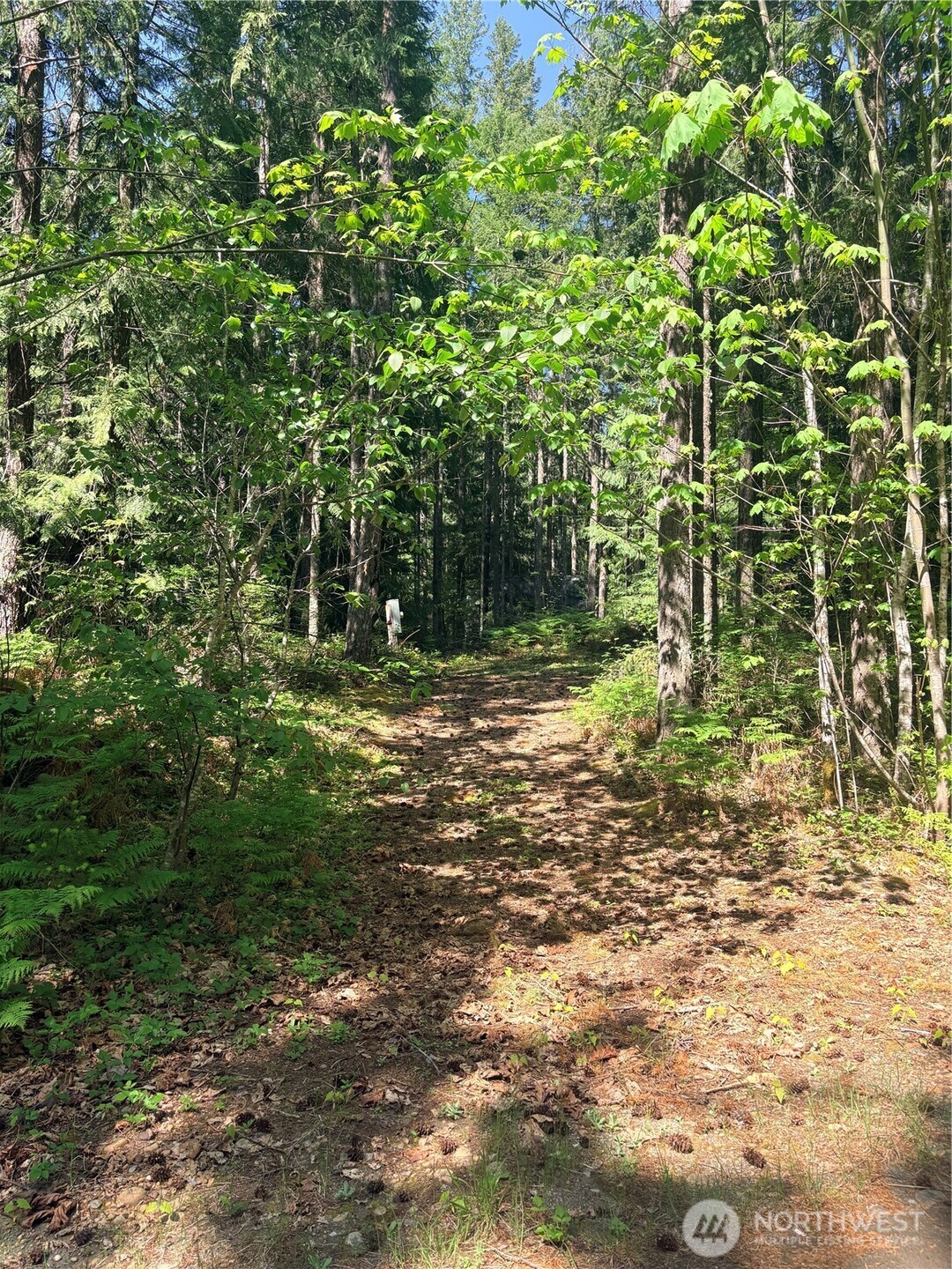 30 N Skokomish Drive Hoodsport WA 98548