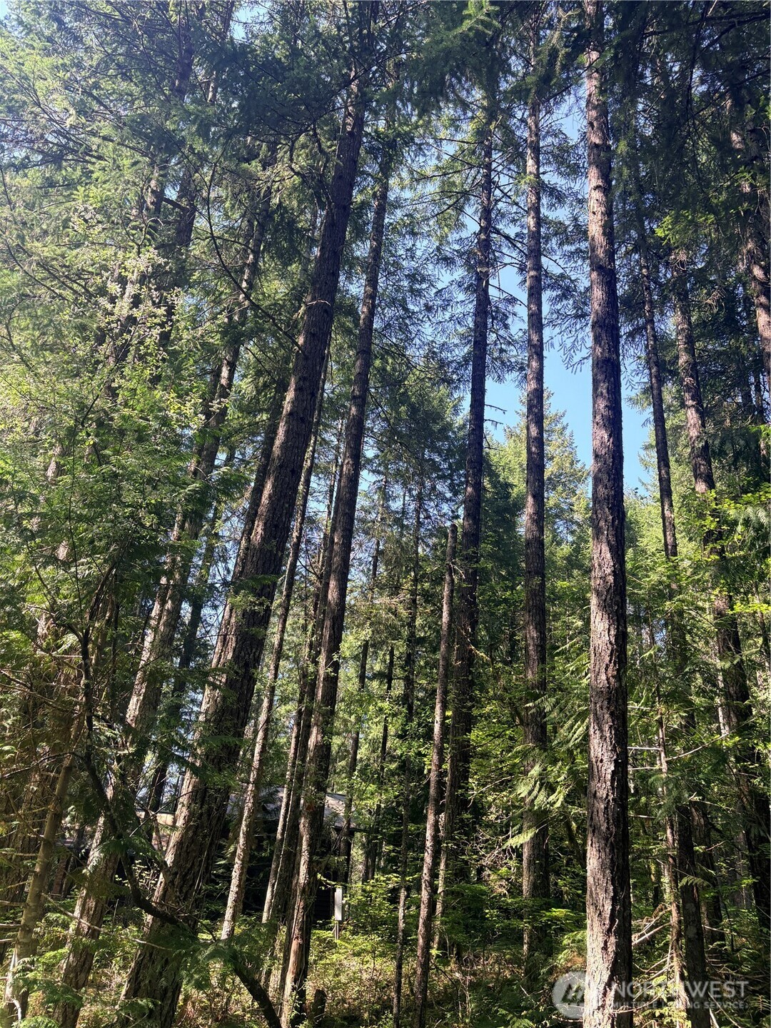 30 N Skokomish Drive Hoodsport WA 98548