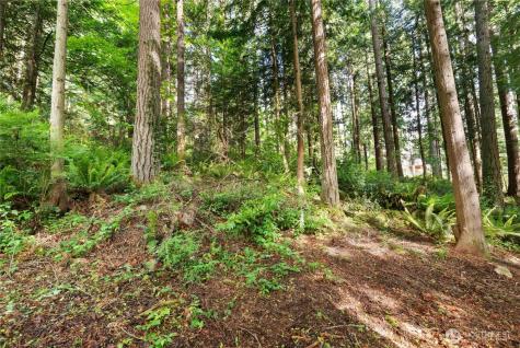 3304 W Ames Lake Drive NE Redmond WA 98053