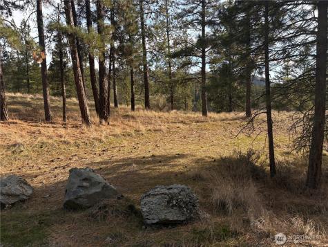 2 Mist Lake Road Tonasket WA 98855