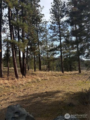 2 Mist Lake Road Tonasket WA 98855