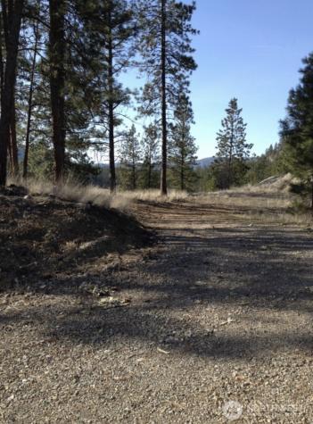2 Mist Lake Road Tonasket WA 98855