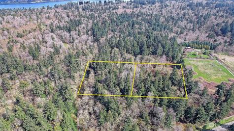 1804 Amber View Place Camano Island WA 98282