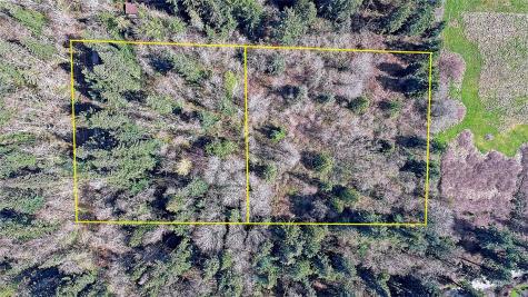 1804 Amber View Place Camano Island WA 98282