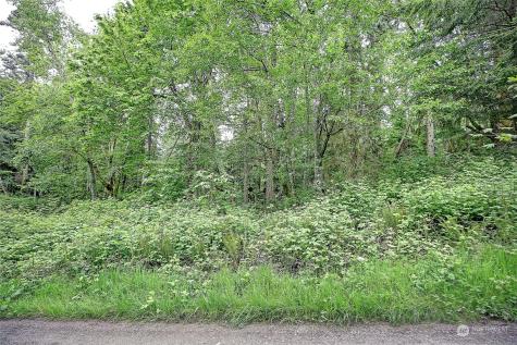 1804 Amber View Place Camano Island WA 98282