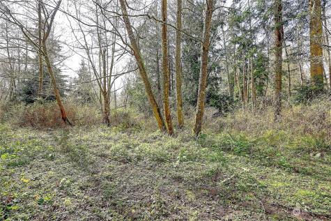 1804 Amber View Place Camano Island WA 98282