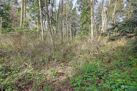 1804 Amber View Place Camano Island WA 98282