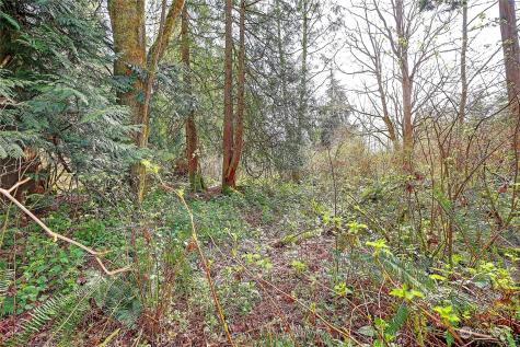 1804 Amber View Place Camano Island WA 98282