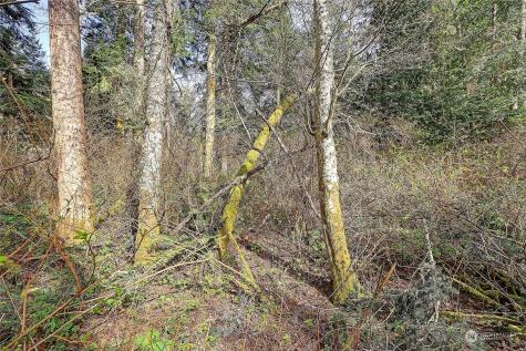 1804 Amber View Place Camano Island WA 98282