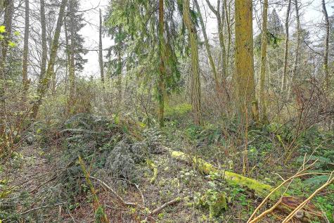 1804 Amber View Place Camano Island WA 98282