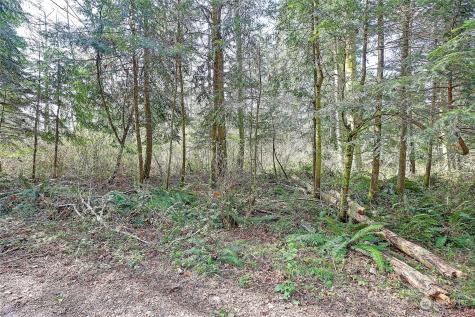 1804 Amber View Place Camano Island WA 98282