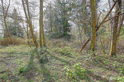 1804 Amber View Place Camano Island WA 98282