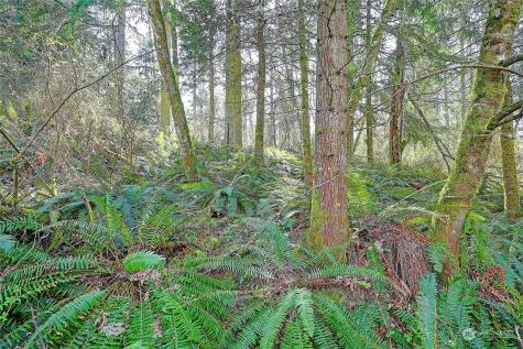 1804 Amber View Place Camano Island WA 98282
