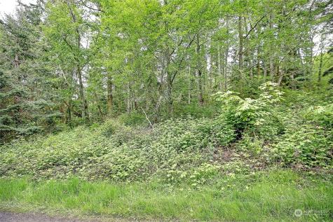 1804 Amber View Place Camano Island WA 98282